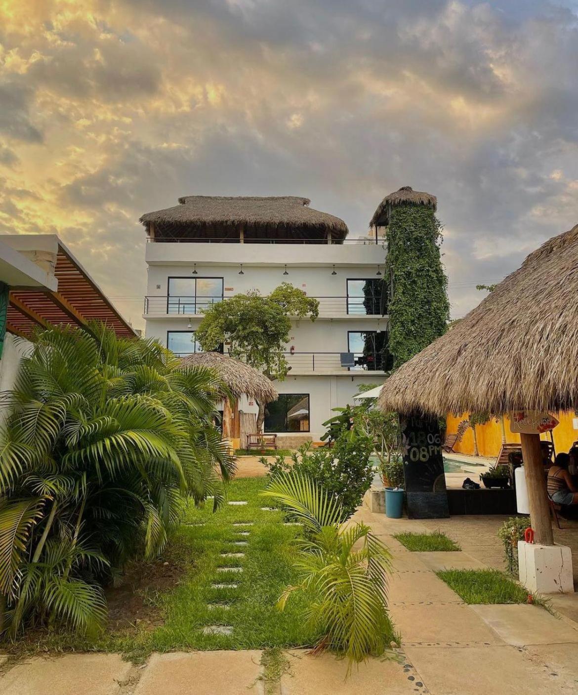 Brisas de Zicatela Surfnest Tamarindosホステル エクステリア 写真